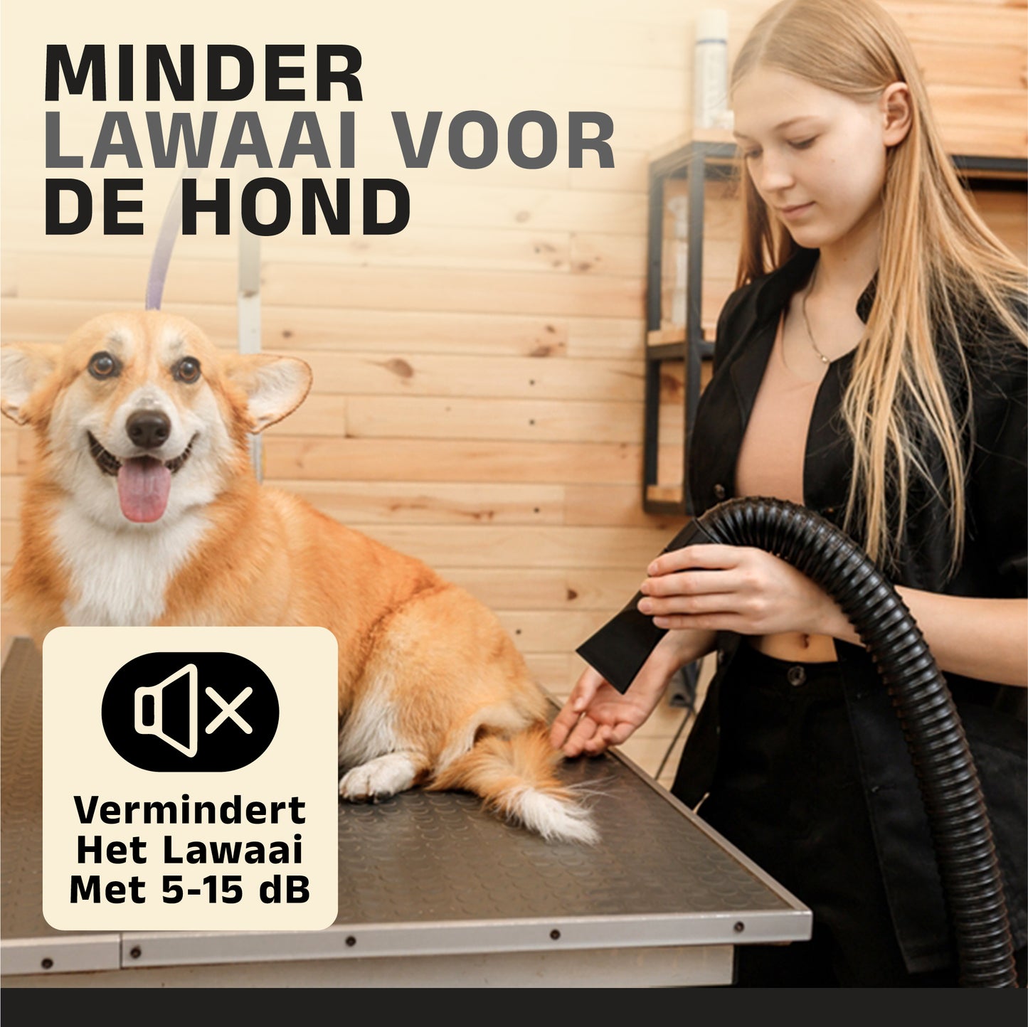 Specialistische hondenfohn - waterblazer voor Honden - Stil Model met geluidsdemper - Verstelbaar Vermogen - Honden Droger - Zwart